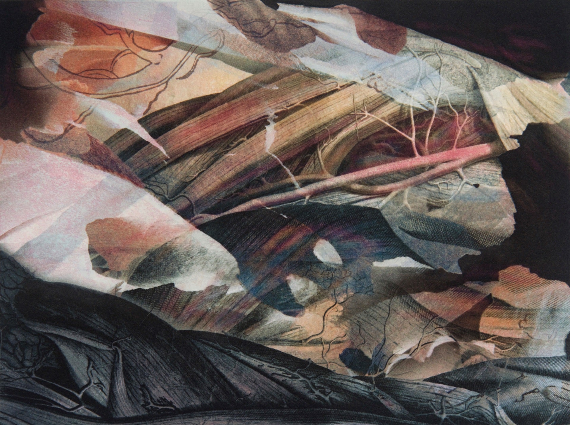 Profile banner image