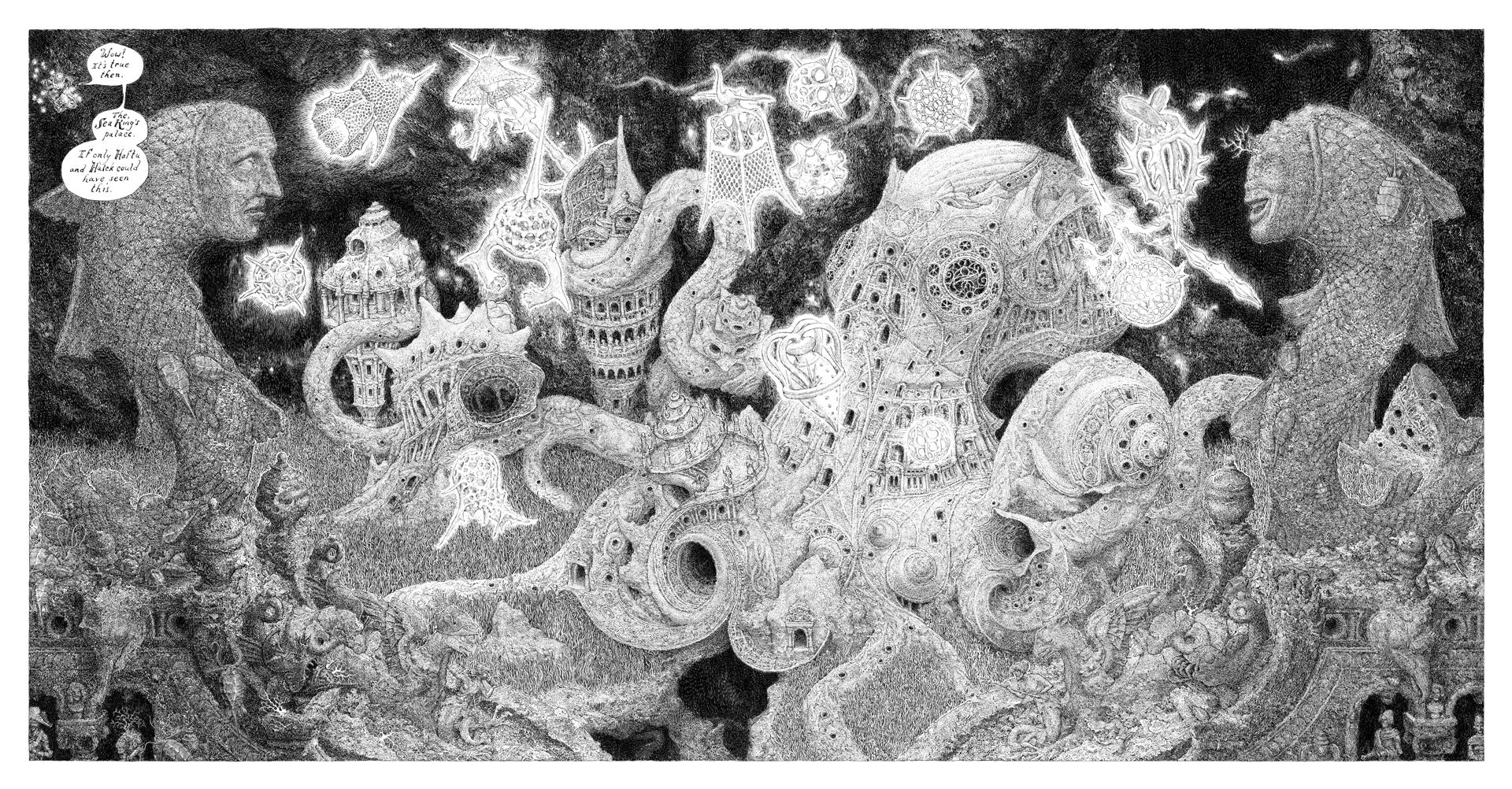 Profile banner image