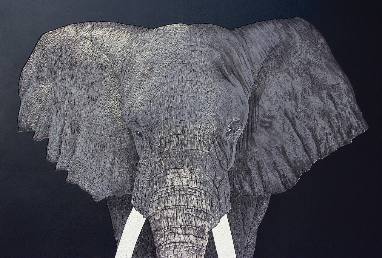 Profile banner image