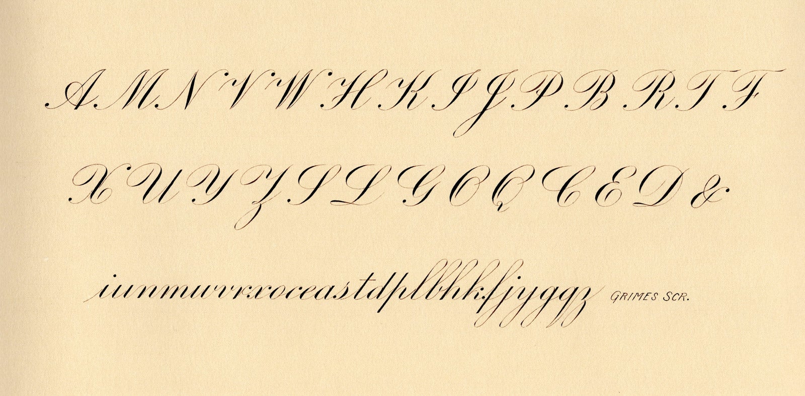 Profile banner image