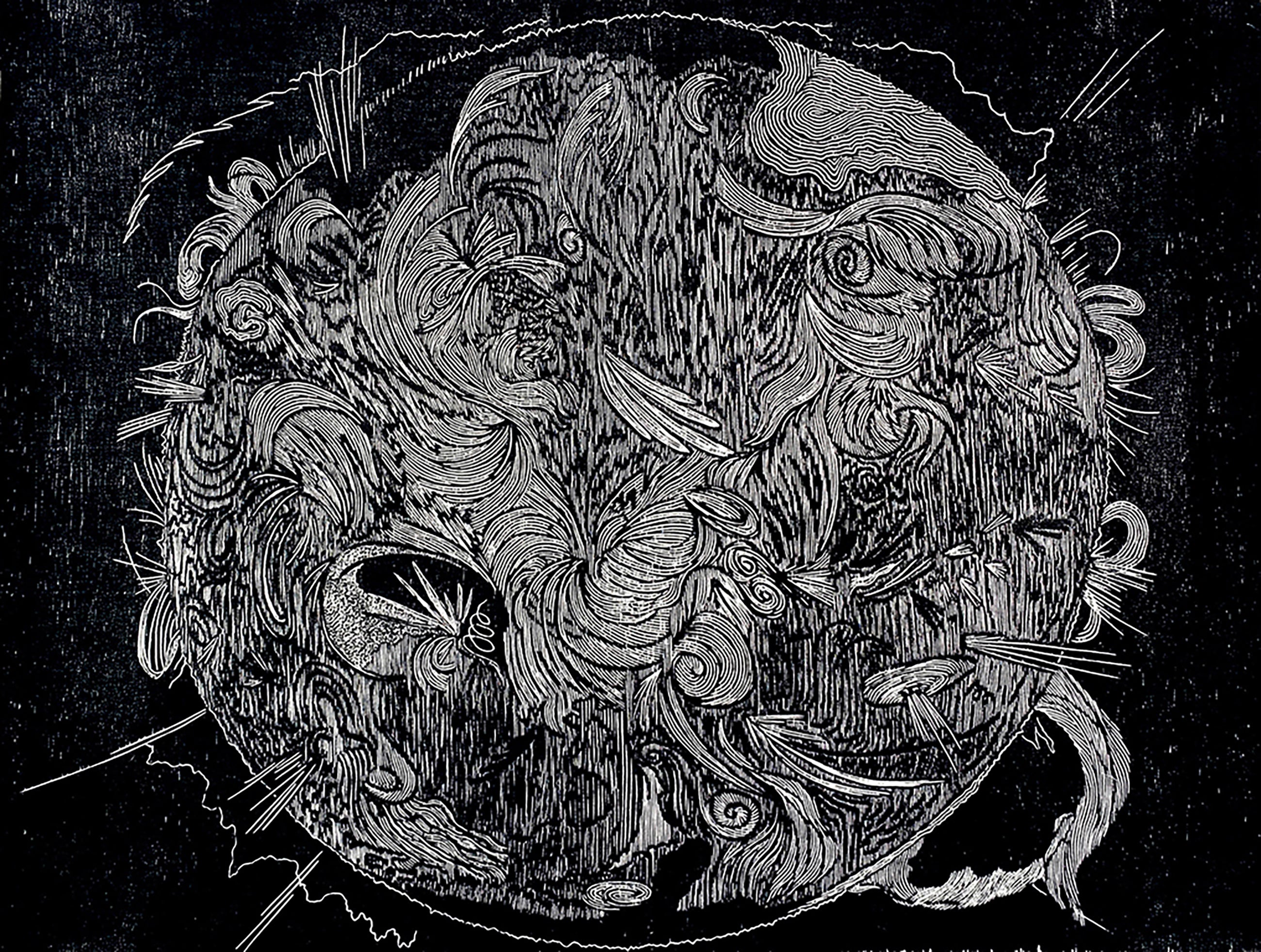 Profile banner image