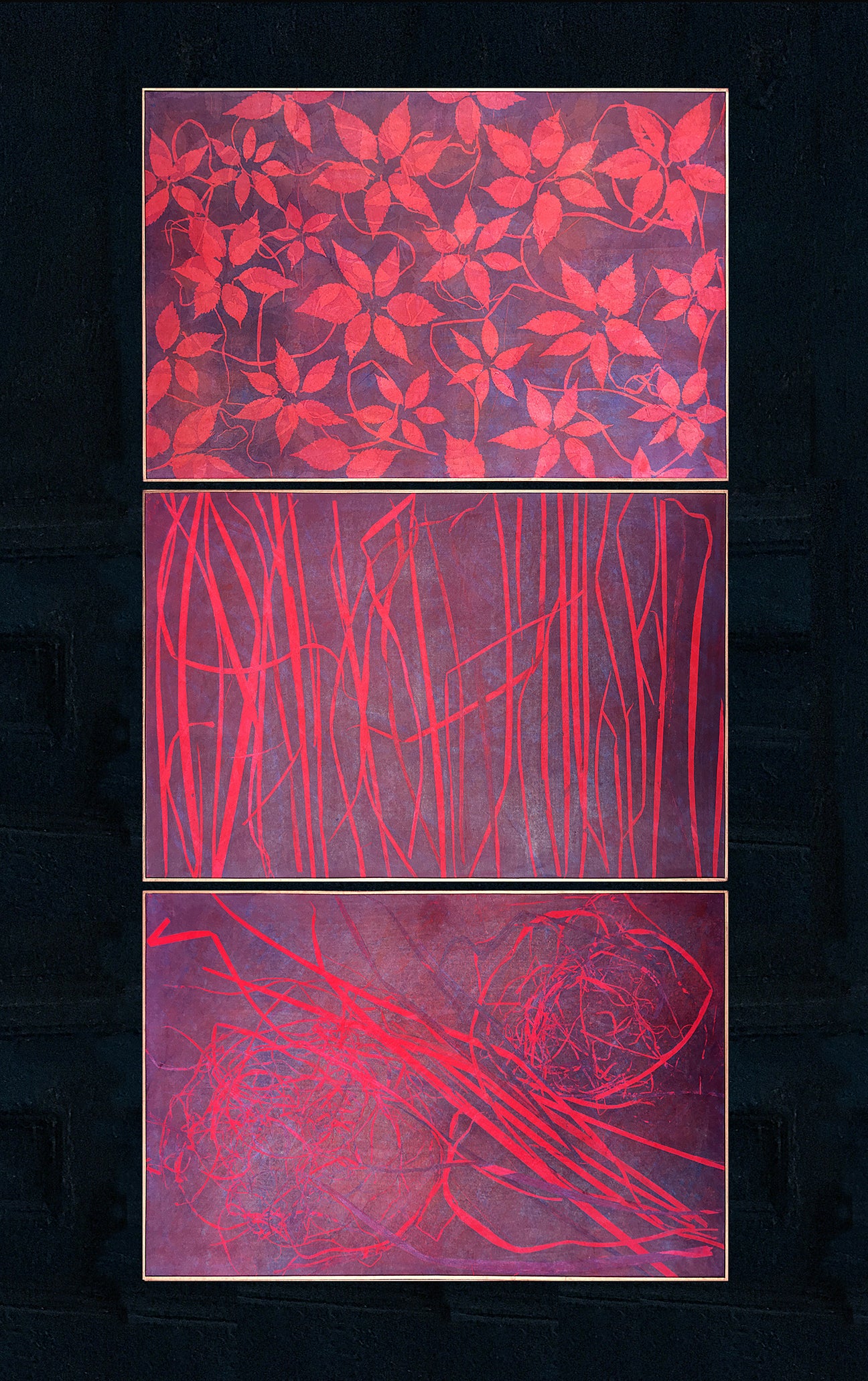 Profile banner image