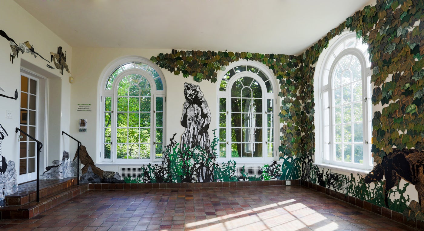 Profile banner image