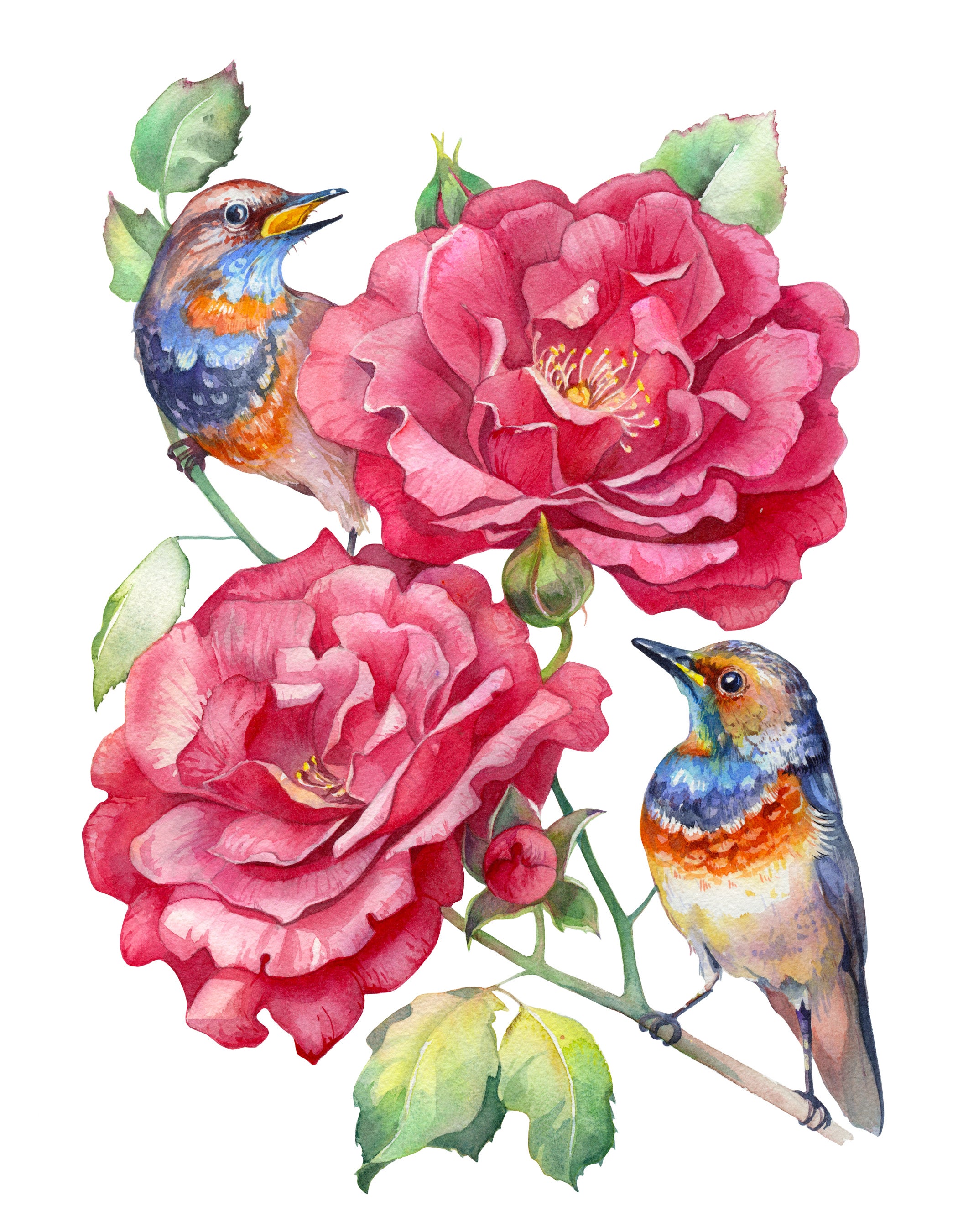 Profile banner image