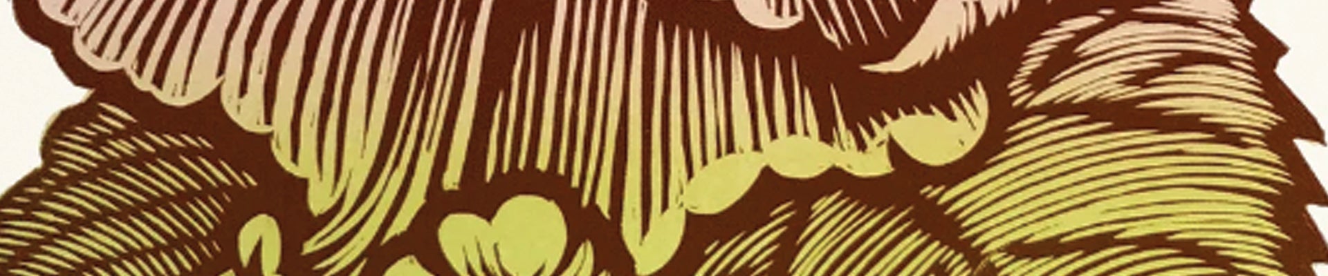 Profile banner image