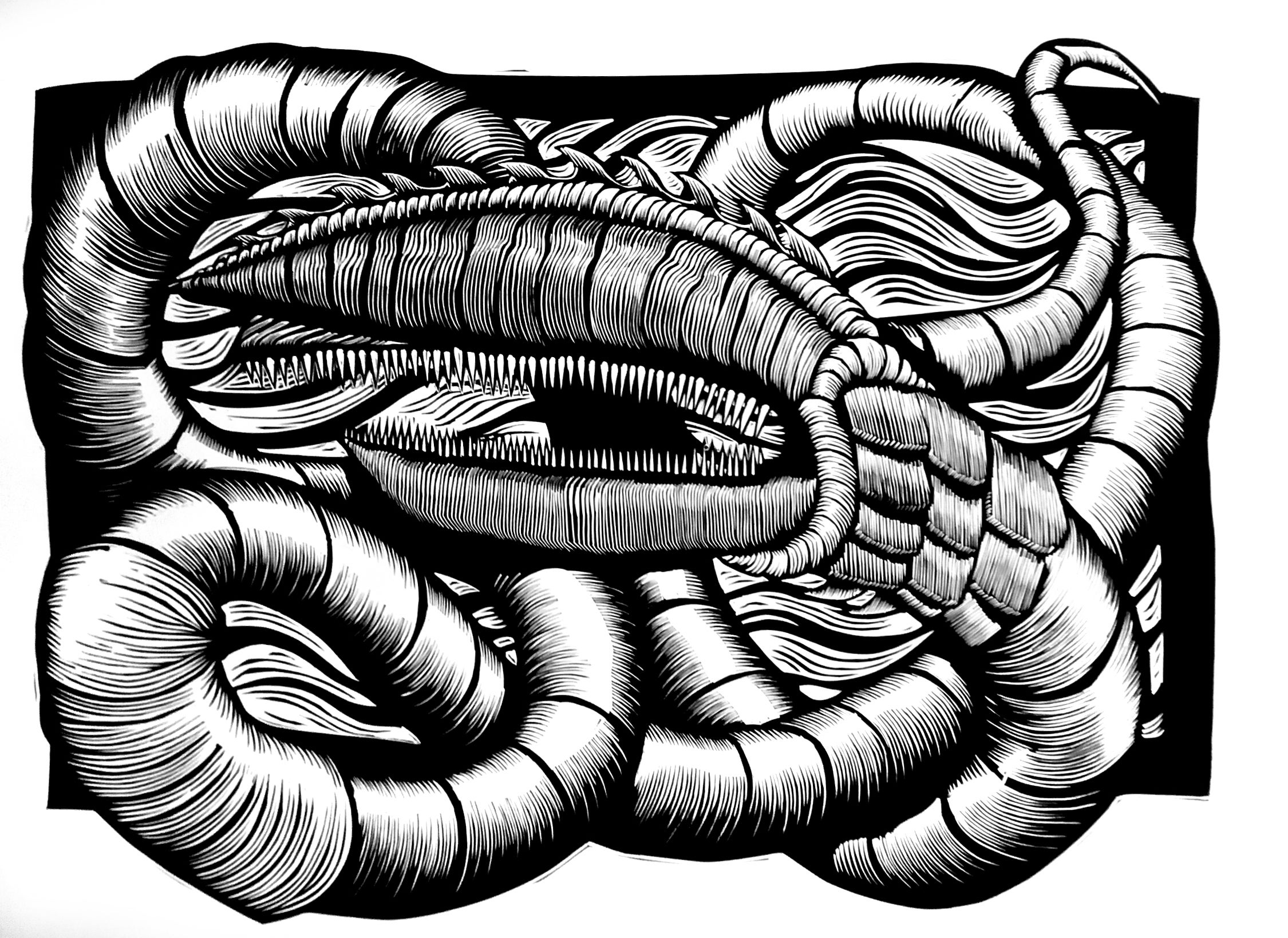 Profile banner image