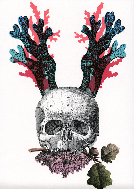 Profile banner image