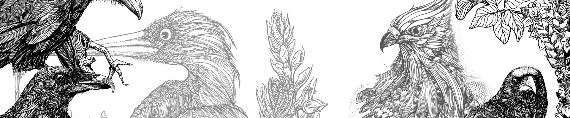 Profile banner image