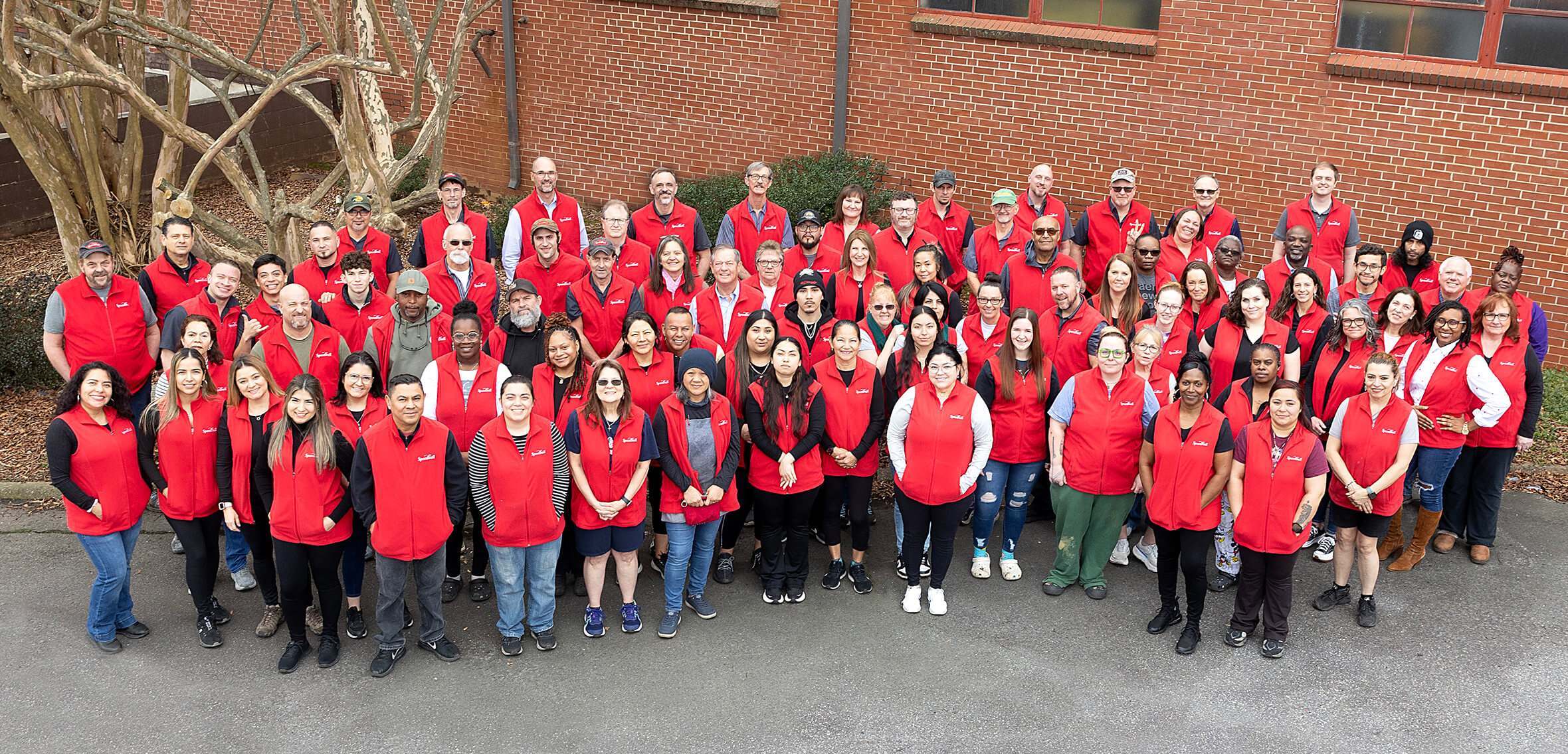 Our Team