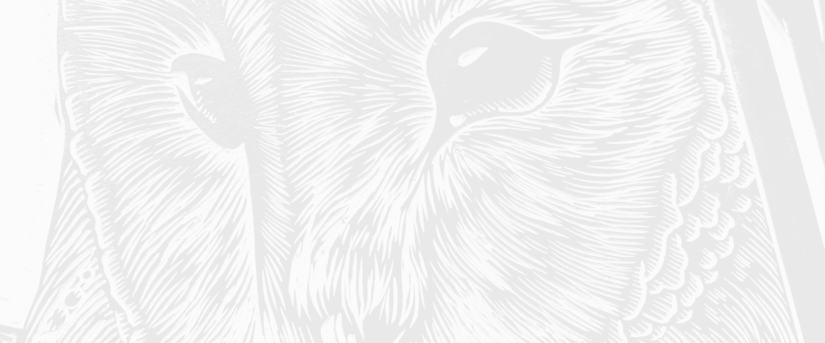 background art by: Dana Bergstrom