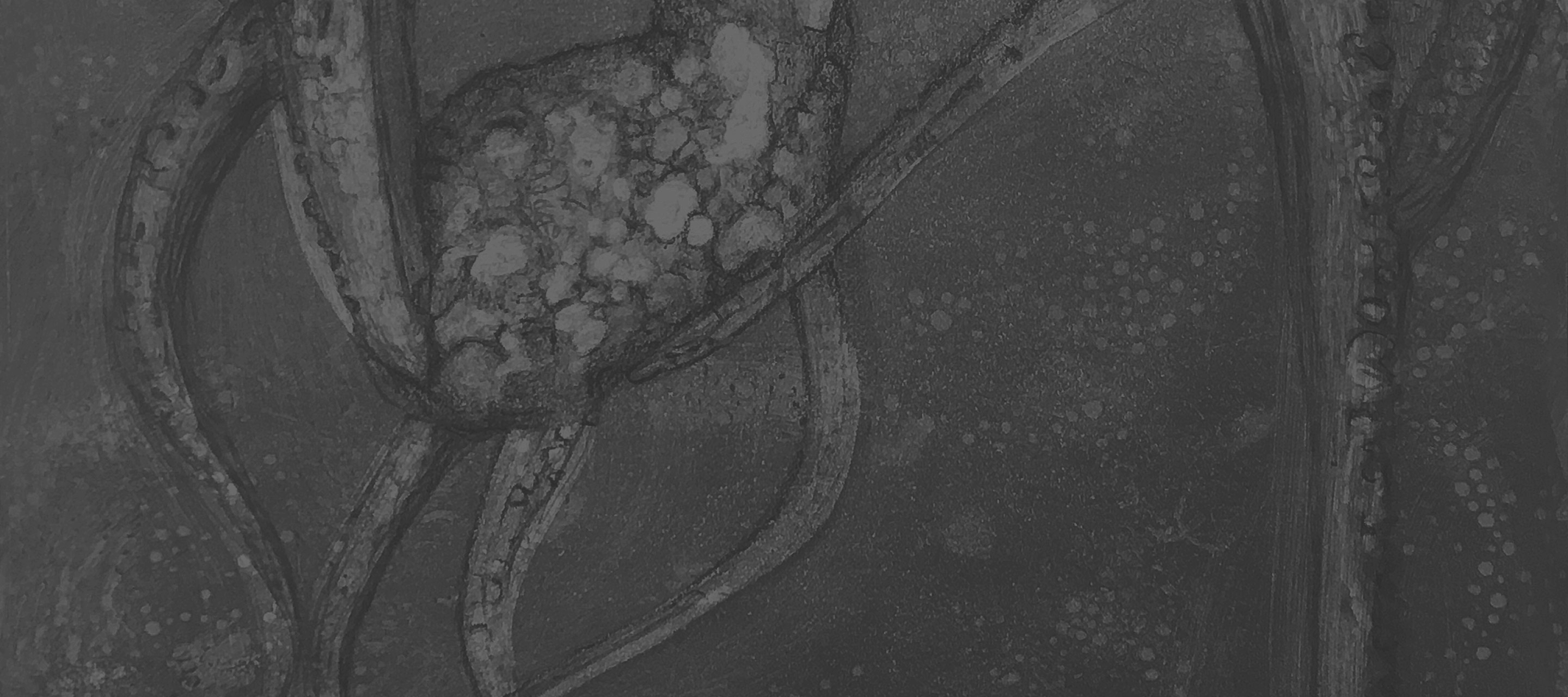 background art by: Susan Rostow