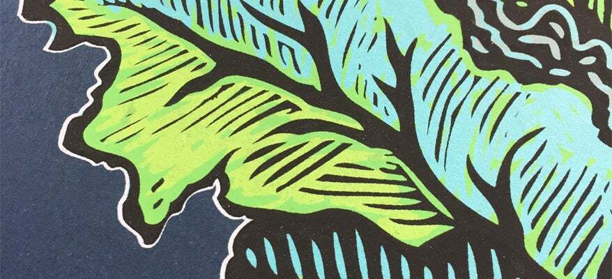 Profile banner image