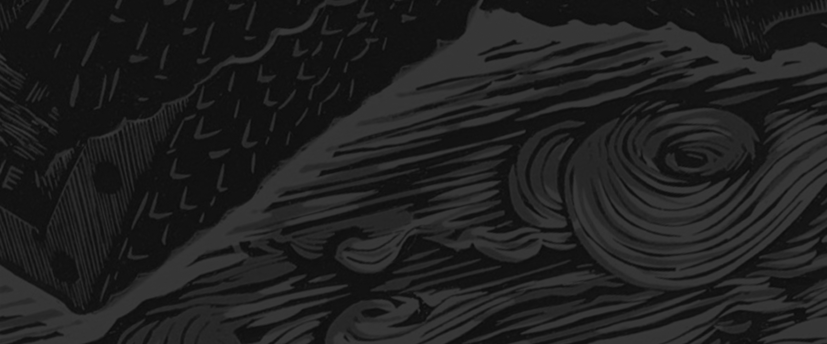 background art by: Reinaldo Gil Zambrano