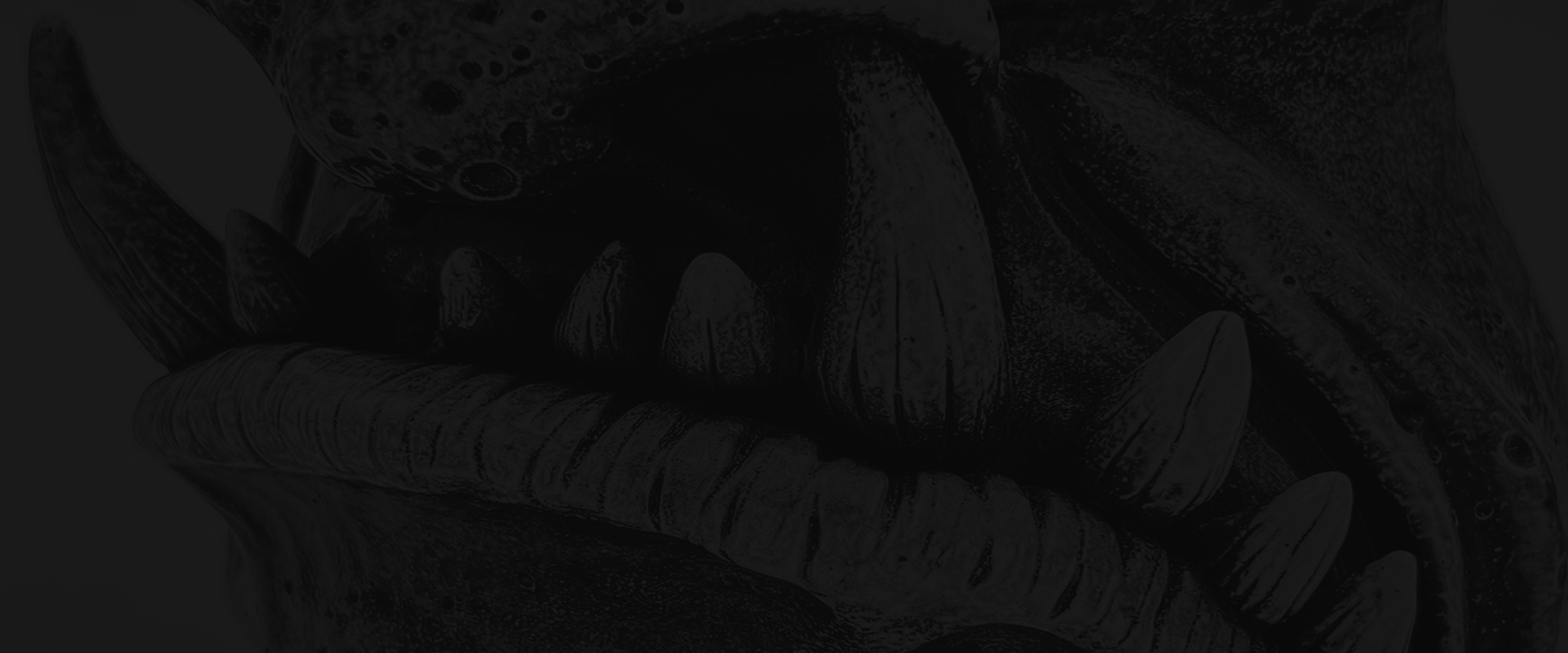 background art by: Emily Adams