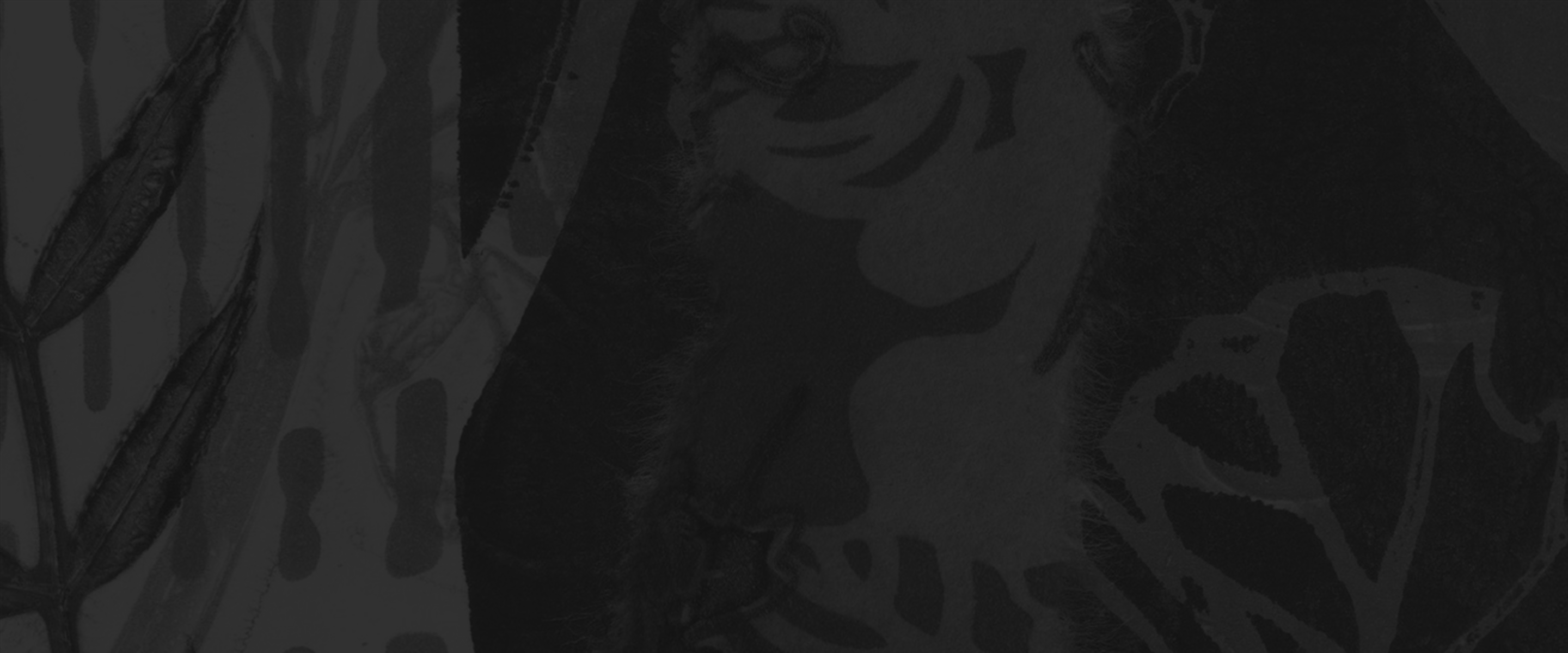 background art by: Amy Nack