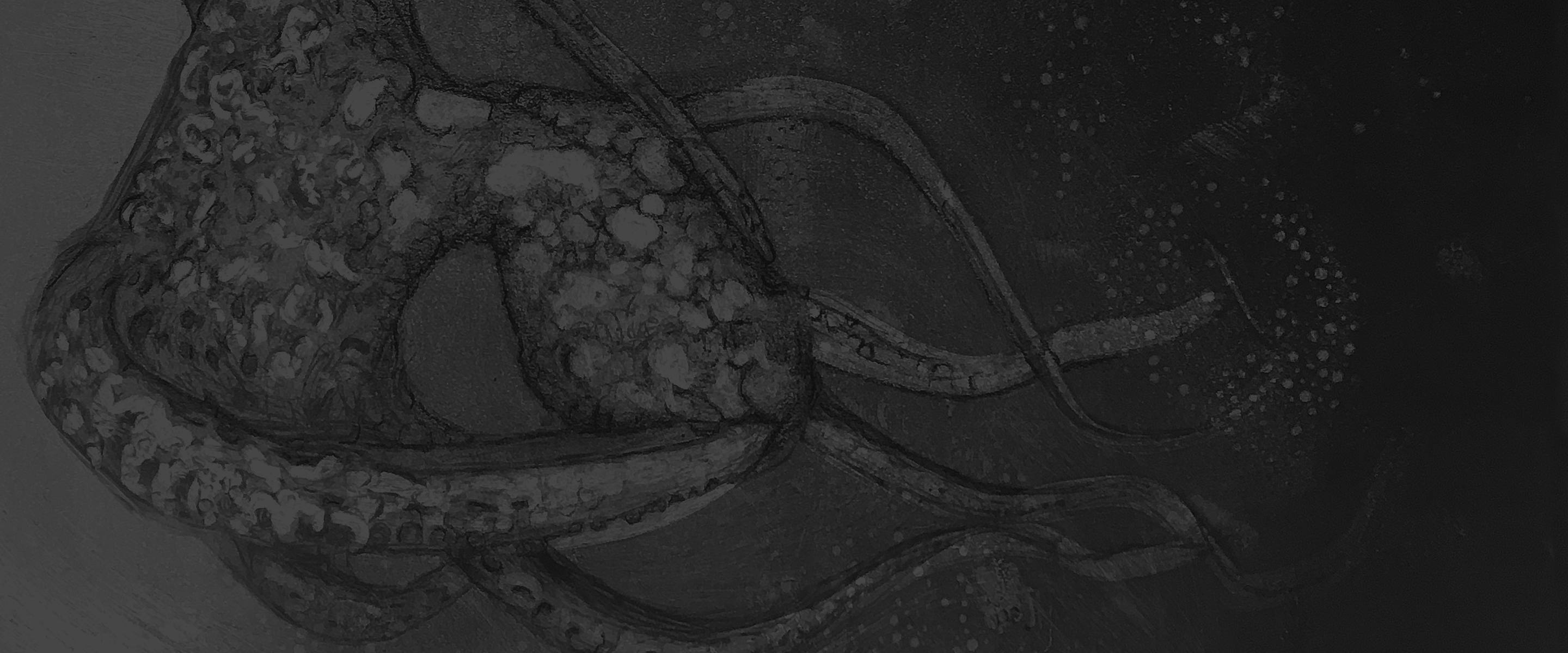 background art by: Susan Rostow