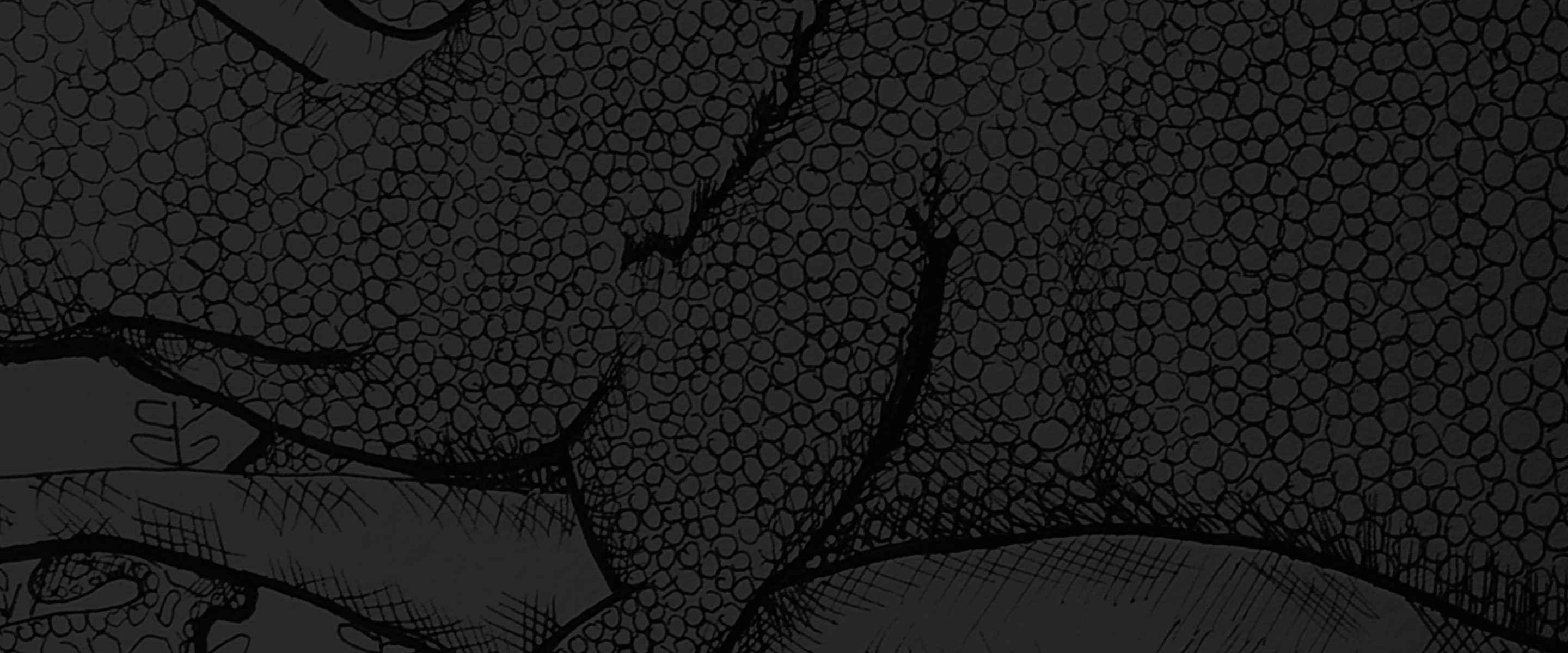 background art by: Amanda Fangue