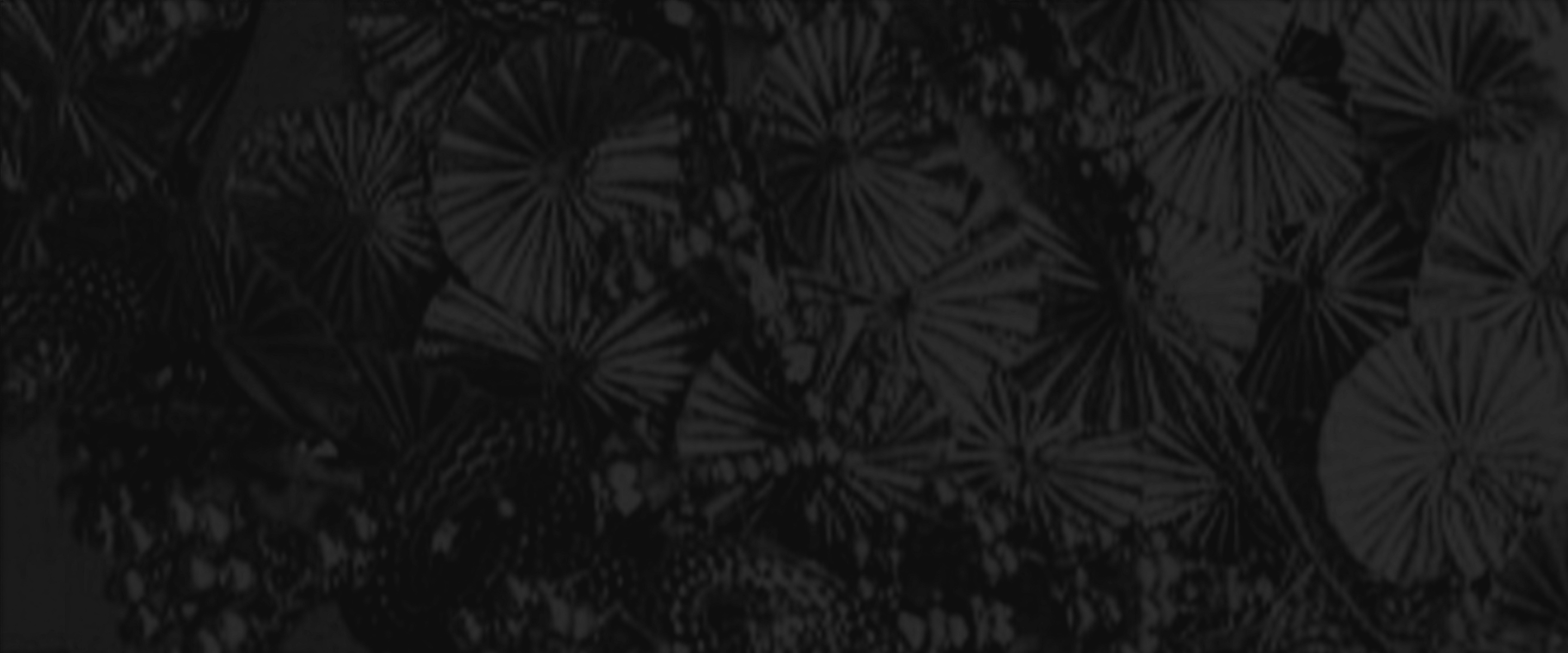 background art by: Tiago Valente