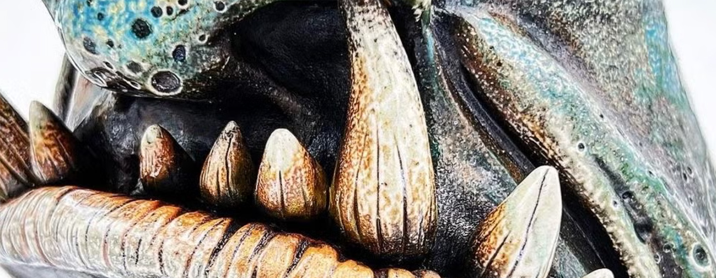 Profile banner image