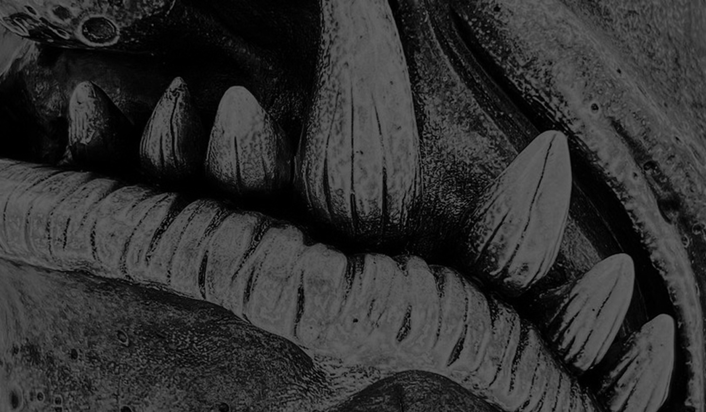 background art by: Emily Adams