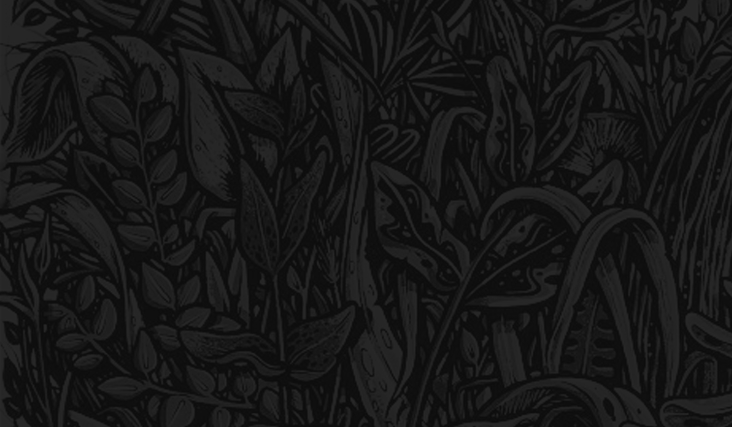 background art by: Max Mahn