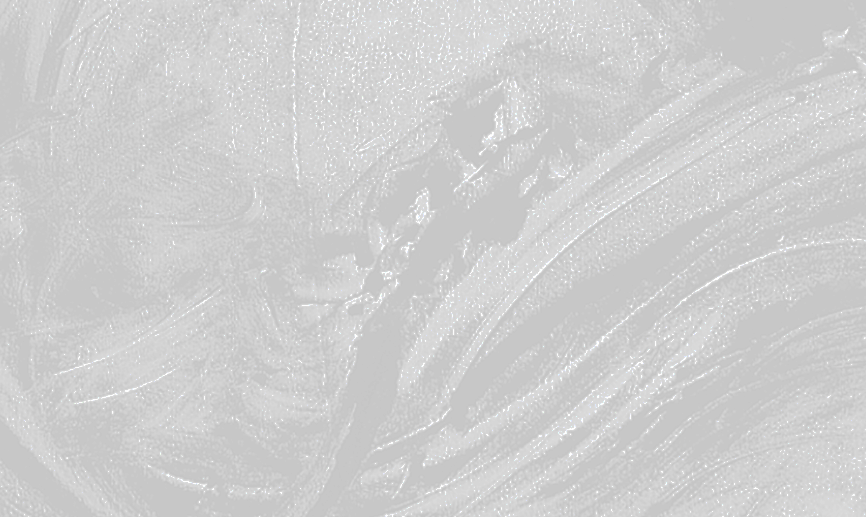 background art by: Susan Rostow