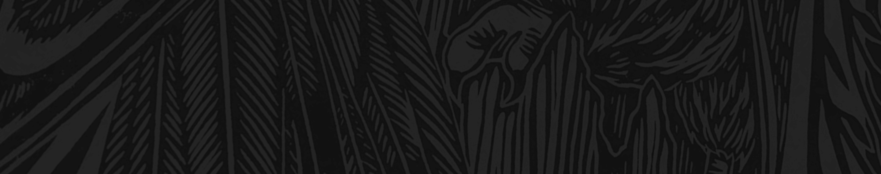 background art by: Dana Bergstrom