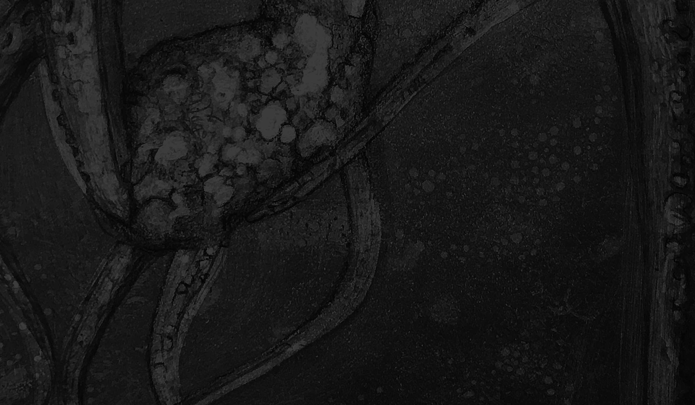 background art by: Susan Rostow