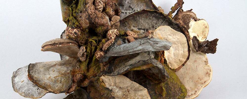 Profile banner image