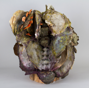 Akua Gallery Feature