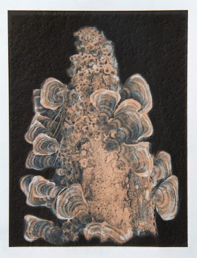 Mixed Media Monoprinting with Susan Rostow - Speedball Art