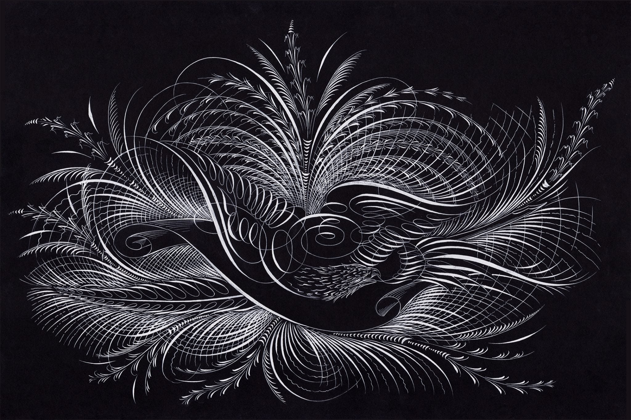 Jake Weidmann Speedball Art