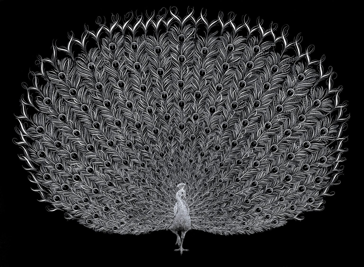 Jake Weidmann Speedball Art