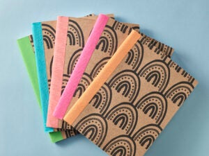 Speedy-Carve Stamped Notebook Examples