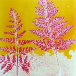 "Fern Ghost on Diary" by Amy Nack