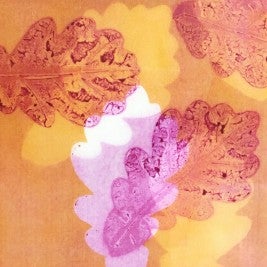 "Oak O and M" by Amy Nack