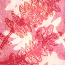 "Double Stem" by Amy Nack