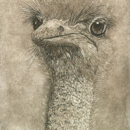 Ursula Kabis Kabis Ursula