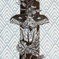 "Cecropia Moth-Garden" | Allison Grace Tierney | Relief Print