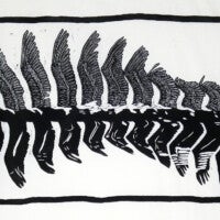 "Pelican in Flight" | Bob Goldstein | Relief Print